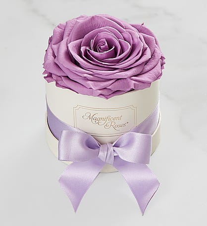 Magnificent Roses® Preserved Lavender Rose